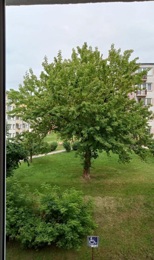 Apartament Mazury Kętrzyn Dış mekan fotoğraf